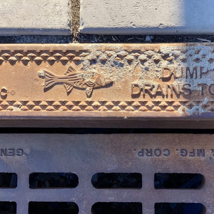 Brooklyn drains referred to in Brooklyn: Recollection, Return & Repartee (below).